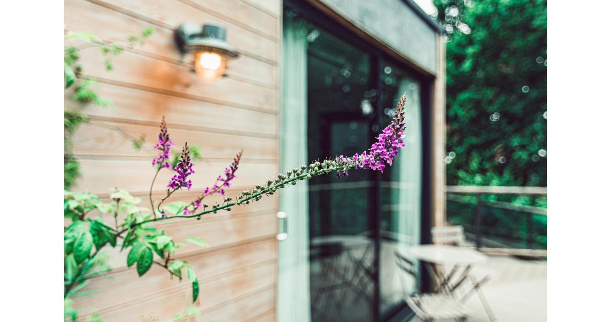 Clophill Eco Lodges Zewnętrze zdjęcie
